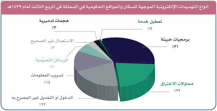 رسم للجرائم الإلكترونية